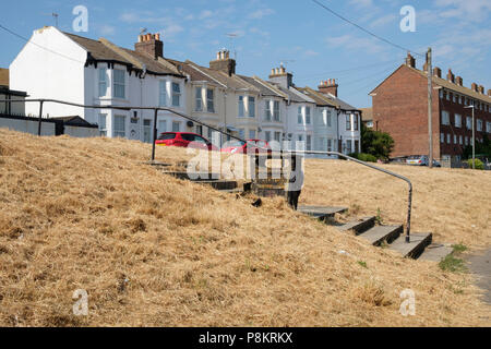 Hastings, East Sussex, UK. 12 juillet 2018. Les conditions de sécheresse avec l'herbe desséchée verges à Halton exposée, en raison de la vague de chaleur en cours avec pas de pluie. Banque D'Images