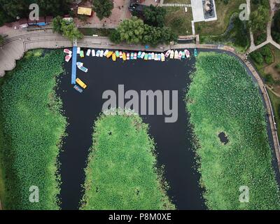 La société Shenyang Blower, la société Shenyang Blower, la Chine. Le 13 juillet, 2018. Shenyang, Chine-photographie aérienne de la plus grande piscine de lotus à Shenyang, Liaoning Province du nord-est de la Chine. Crédit : SIPA Asie/ZUMA/Alamy Fil Live News Banque D'Images