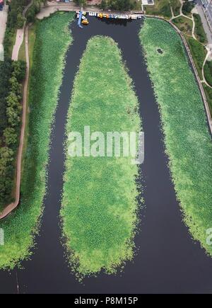 La société Shenyang Blower, la société Shenyang Blower, la Chine. Le 13 juillet, 2018. Shenyang, Chine-photographie aérienne de la plus grande piscine de lotus à Shenyang, Liaoning Province du nord-est de la Chine. Crédit : SIPA Asie/ZUMA/Alamy Fil Live News Banque D'Images