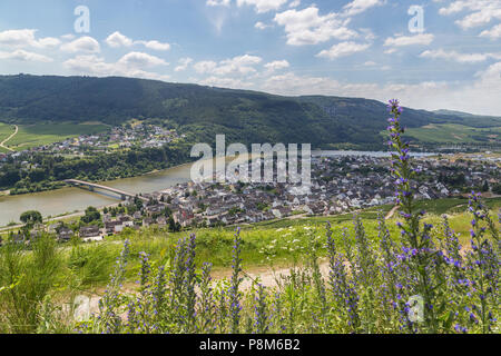 Mehring sur la Moselle Allemagne Europe. Banque D'Images