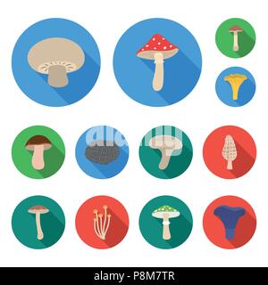 Champignons comestibles et toxiques télévision icônes de collection set pour la conception. Différents types de champignons symbole vecteur illustration de stock. Illustration de Vecteur