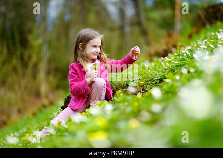 Adorable petite fille choisir les premières fleurs du printemps dans les bois Banque D'Images