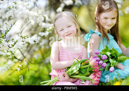 Deux mignonnes petites sœurs holding tulipes pour leur mère dans blooming cherry garden sur beau jour de printemps Banque D'Images