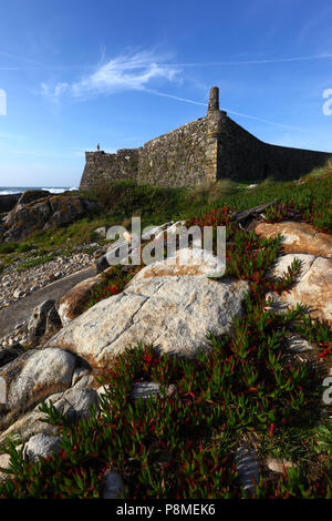 Château de forte do Cao et les feuilles des plantes (ou Hottentots Carpobrotus une espèce envahissante), près de Vila Praia de Ancora, la province du Minho, au nord du Portugal Banque D'Images