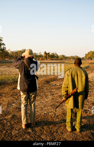 Park Ranger et touristiques sur Safari à pied. Mana Pools National Park. Zimbabwe Banque D'Images
