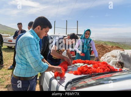 La province du Lorestan, Iran - avril 1, 2018 : peuple iranien décorer voiture pour cérémonie de mariage dans le village Banque D'Images