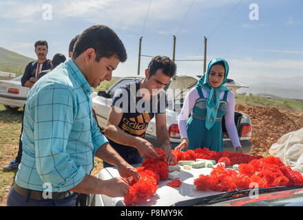 La province du Lorestan, Iran - avril 1, 2018 : peuple iranien décorer voiture pour cérémonie de mariage dans le village Banque D'Images