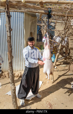 La province du Lorestan, Iran - 1 Avril 2018 : les hommes de l'Iran et de l'écorcher l'abattage des moutons dans la cour pour la cérémonie du mariage dans le village. Banque D'Images