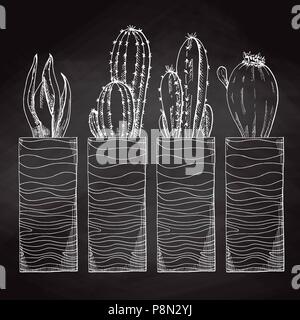Croquis de plantes succulentes en pot haut isolé sur le tableau. . Vector illustration d'un croquis de style. Illustration de Vecteur
