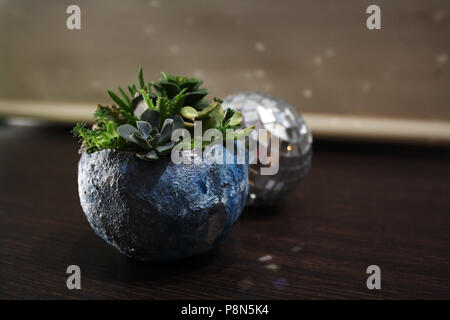 Romantique intergalactique : boule disco avec fleurs succulentes dans le scintillement de la lune Banque D'Images