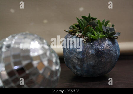 Après minuit : mirror ball avec de succulents lune floral Banque D'Images