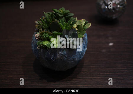 Ambiance romantique : hypertufa pot sphérique avec des plantes succulentes et boule sur l'arrière Banque D'Images