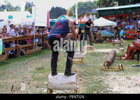 Le grand show du Yorkshire, Juillet 2018,le grand show du Yorkshire est un établissement emblématique de l'événement de trois jours et l'un des plus grands événements agricoles dans la ca Banque D'Images