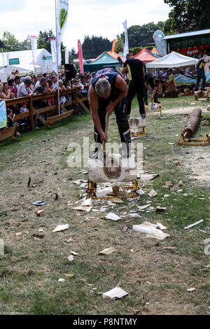 Le grand show du Yorkshire, Juillet 2018,le grand show du Yorkshire est un établissement emblématique de l'événement de trois jours et l'un des plus grands événements agricoles dans la ca Banque D'Images