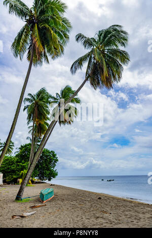 Paradise beach, Le Carbet Martinique île tropicale, mer des Caraïbes Banque D'Images