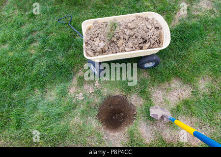 Nouveau trou creusé dans une pelouse dans le jardin pour planter un arbre dans une vue du haut vers le bas d'une brouette pleine de terre les mottes et spade Banque D'Images