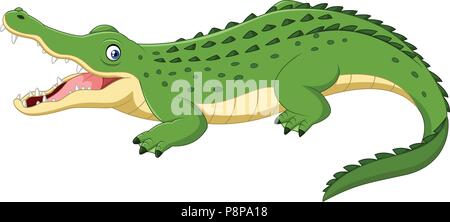 Crocodile dessin animé isolé sur fond blanc Illustration de Vecteur