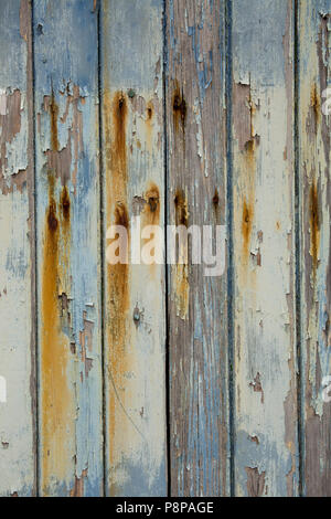 L'écaillage de la peinture et la rouille des clous sur des planches sur une porte près de l'anse de Chesil, plage de Chesil, Dorset England UK GO Banque D'Images