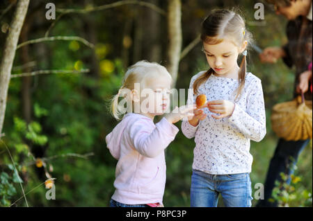 Grand-mère et ses deux petits-enfants peu de cueillette de champignons dans la forêt Banque D'Images