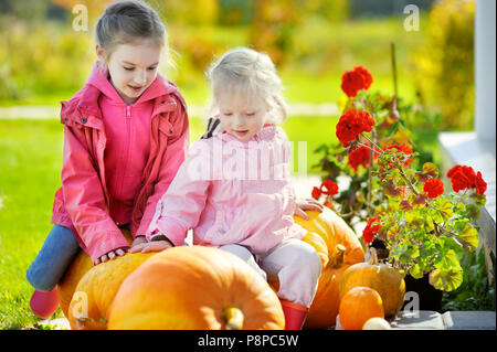 Deux petites soeurs et quelques immenses citrouilles sur un potager Banque D'Images