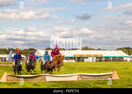 Poney Shetland steeple-chase au pays et game show Cheshire show ground, Tabley Cheshire Royaume Uni Banque D'Images