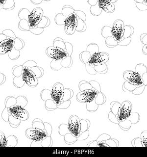 Prunus persica - Pêche Fleur Fleur Contours sur fond blanc. Vector Illustration. Illustration de Vecteur