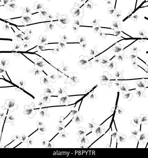 Momo Peach Blossom Flower transparent contours sur fond blanc. Vector Illustration. Illustration de Vecteur