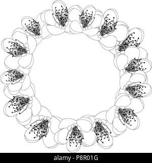 Momo Peach Blossom Fleurs gerbe de contour. Vector Illustration. Illustration de Vecteur