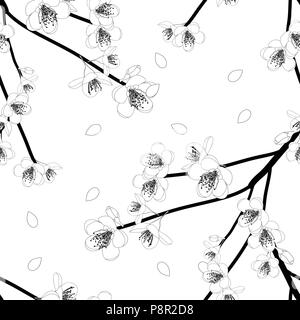 Prunus persica contours - Pêche Fleur Fleur sur fond blanc. Vector Illustration. Illustration de Vecteur