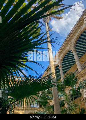 En haut de la cour intérieure de l'Université de La Havane sur la colonnade en soirée ensoleillée avec beaucoup de différentes plantes Banque D'Images