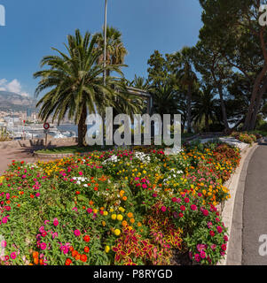 Le parc au-dessus de Fort Antoine dans Monaco-Ville, Monaco, Monte Carlo, France Banque D'Images