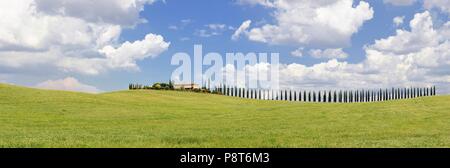 Cyprès et prairie avec maison typique de Toscane, Val d'Orcia, Italie - Toscane Banque D'Images