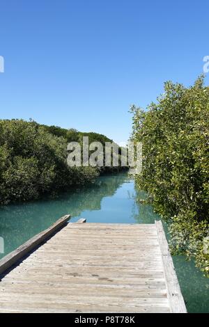 Streeters jetée avec arbres de mangrove, Broome, West Kimberley, Western Australia | conditions dans le monde entier Banque D'Images