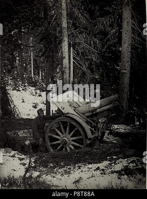 . 15cm 9 Skodahaubitze Arabbastellung in der. BildID (15579229) Banque D'Images