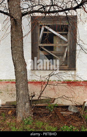 Un arbre grandit à côté du châssis de fenêtre en bois surmonté d'un cafe de l'Itinéraire 66 ville de Alanreed, Texas. Banque D'Images