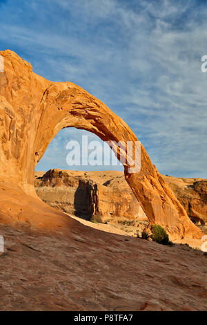 Corona Arch, Bootlegger Canyon, près de Moab, Utah USA Banque D'Images