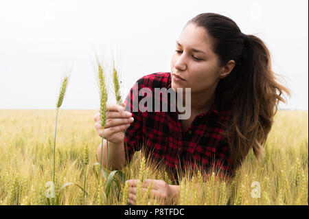 Farmer girl dans le champ de blé Banque D'Images