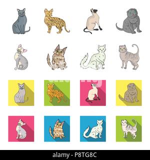 Angora turc, British longhair et d'autres espèces. Les races de chats set collection icônes de style cartoon,télévision symbole vecteur illustration de stock . Illustration de Vecteur