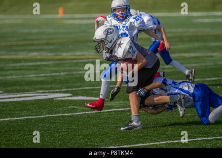 Dramatique, action colorés photos de football Bantam garçons à Calgary, Alberta, Canada Banque D'Images