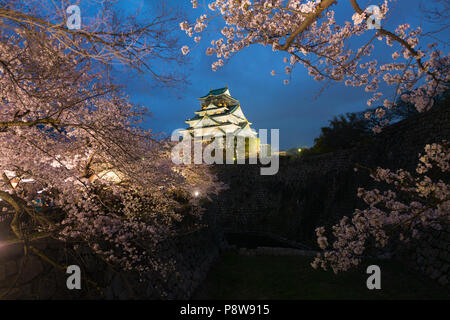 Paysage du Japon au crépuscule. Le Château d'Osaka durant la saison des cerisiers en fleur de printemps à fleurs nuit à Osaka, Japon. Banque D'Images