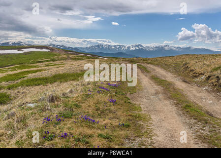 Terre rocheuse raide route sinueuse à travers un col de montagne sur le sommet de la montagne avec des fleurs sur le bord de la route Banque D'Images