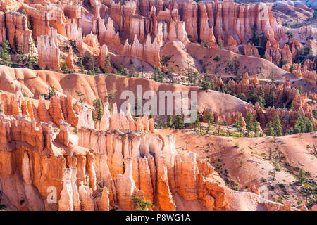 Lever du soleil au coucher du soleil Point dans le Parc National de Bryce Canyon dans l'Utah Banque D'Images