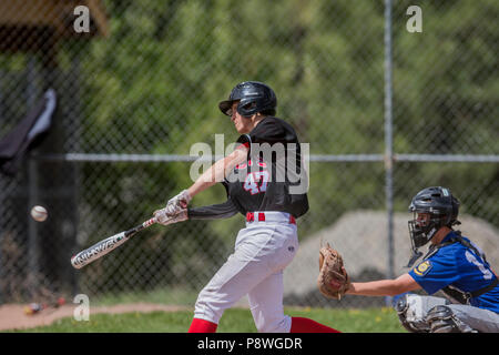 Le baseball, juste avant le contact avec bat, comme le joueur d'après-midi, les garçons junior de baseball jeu. Cranbrook, BC. Banque D'Images