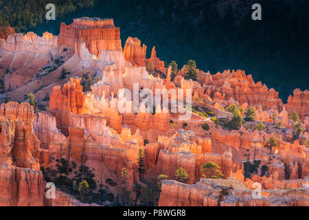 La formation de l'Acropole dans le Parc National de Bryce Canyon dans l'Utah Banque D'Images