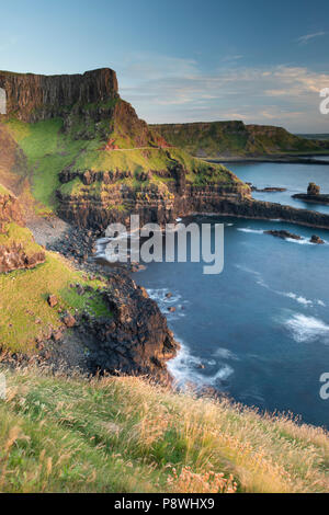 Amphithéâtre, Giant's Causeway Banque D'Images