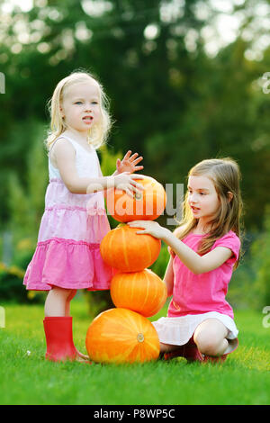 Deux petites soeurs jouant avec d'énormes citrouilles sur un potager Banque D'Images