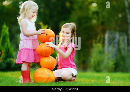 Deux petites soeurs jouant avec d'énormes citrouilles sur un potager Banque D'Images