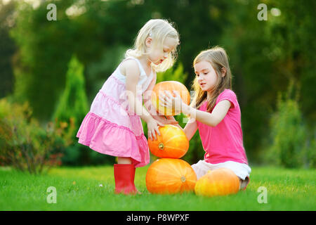 Deux petites soeurs jouant avec d'énormes citrouilles sur un potager Banque D'Images