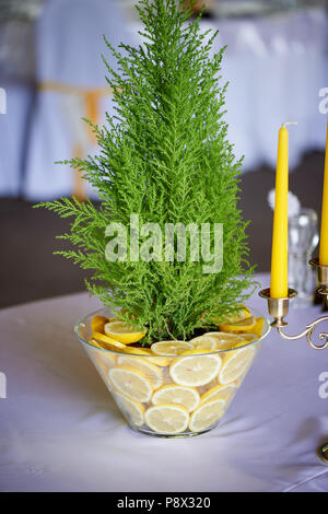 Cyprès dans un vase décoré de citrons. Produits frais et juteux combinaison.décor de table au banquet de mariage. Banque D'Images
