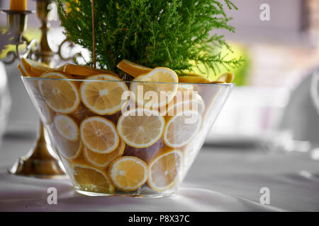 Cyprès dans un vase décoré de citrons. Produits frais et juteux combinaison.décor de table au banquet de mariage. Banque D'Images